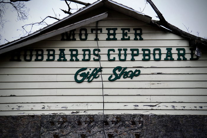 Deer Forest - January 2024 Photo From Dan Keeley (newer photo)